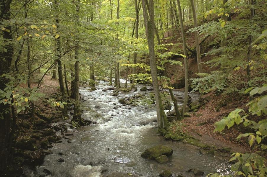 Fewo Hof Elbbachtal Westerburg  Exteriér fotografie