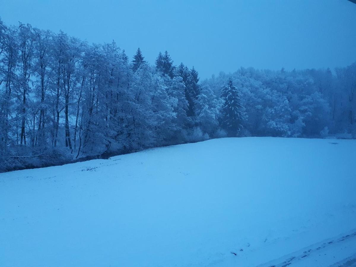 Fewo Hof Elbbachtal Westerburg  Exteriér fotografie