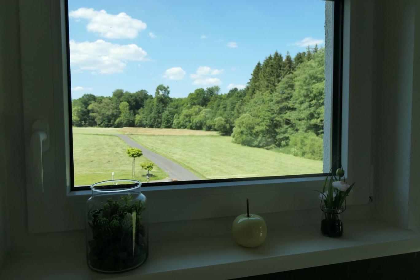 Fewo Hof Elbbachtal Westerburg  Pokoj fotografie